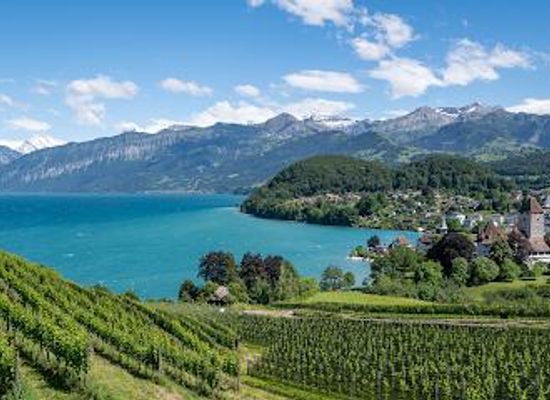 switzerland/bern/attraction/schloss-spiez