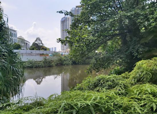 singapore/clementi/attraction/kent-ridge-park-pond