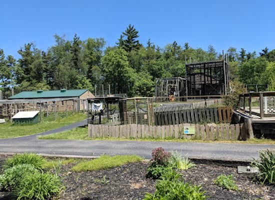 indiana/the-knobs/attraction/black-pine-animal-sanctuary