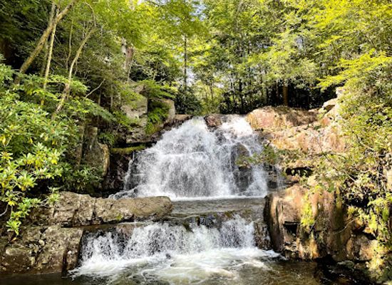 pennsylvania/anthracite-coal-region/attraction/hickory-run-state-park