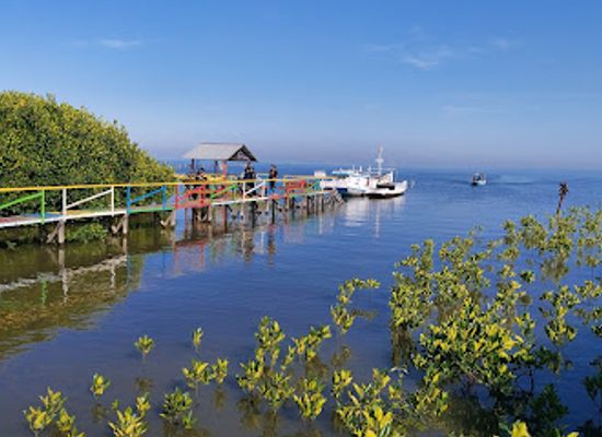 indonesia/makassar/attraction/wisata-mangrove-lantebung