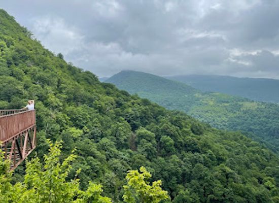 georgia/blood-mountain/attraction/okatse-canyon-visitor-centre