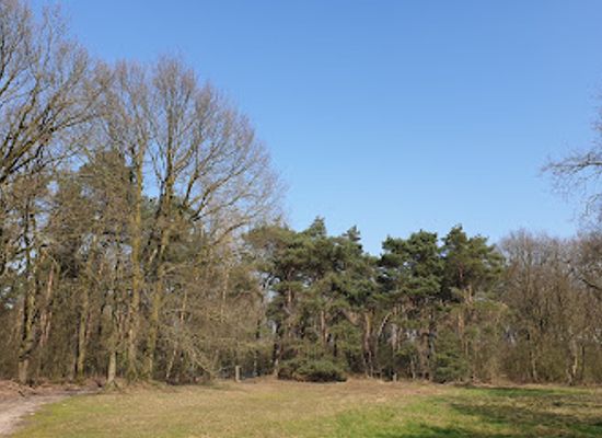 netherlands/limburg-province/attraction/natuurgebied-de-reulsberg