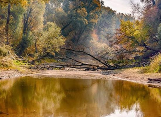 hungary/borzsony-mountains/attraction/god-duna-part