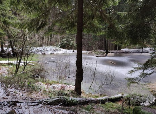 czechia/jizera-mountains/attraction/lesni-jezirko