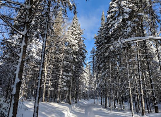 canada/northern-ontario/attraction/north-ridge-ranch