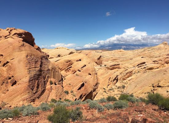 nevada/valley-of-fire-state-park/attraction/petroglyph-canyon-trail