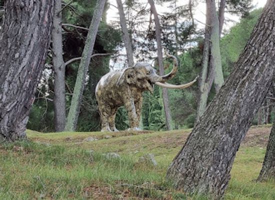 croatia/pula/attraction/elephant-sculpture-np-brijuni