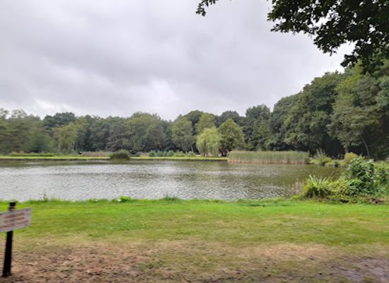 belgium/limburg/attraction/begijnenvijvers