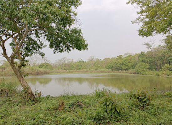 india/kaziranga-national-park/attraction/bagori-elephant-ride-point