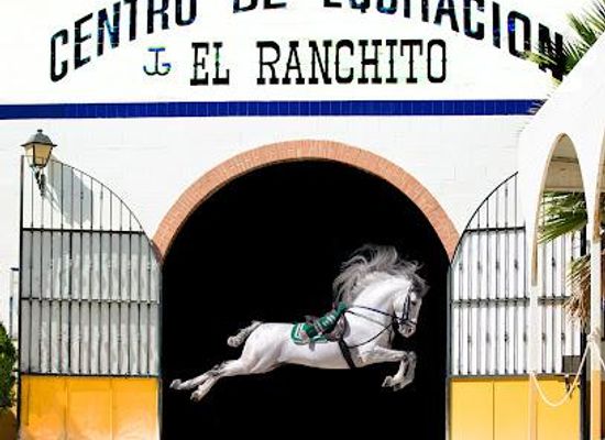 spain/malaga/attraction/ritmo-a-caballo-andalusian-night