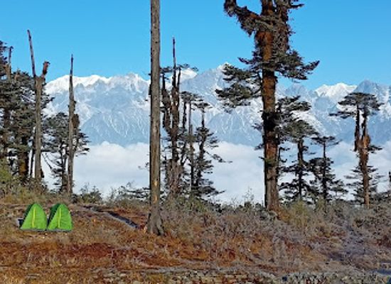 india/sikkim/attraction/bhalleydhunga