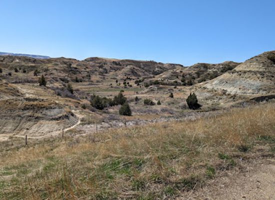 north-dakota/theodore-roosevelt-national-park/attraction/dakota-prairie-grasslands