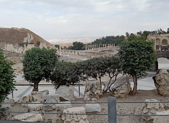 israel/galilee-region/attraction/capernaum-synagogue