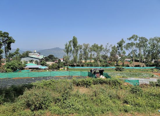 india/mahabaleshwar/attraction/mapro-garden