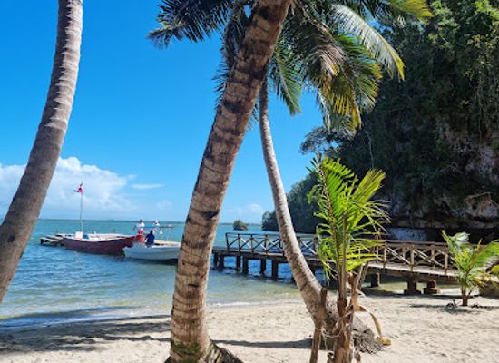 dominican-republic/las-terrenas/attraction/flora-tours-excursions-nature-las-terrenas