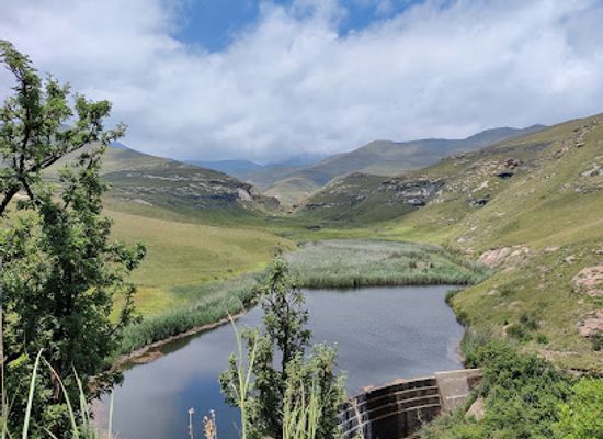 south-africa/golden-gate-highlands-national-park/attraction/blesbok-loop