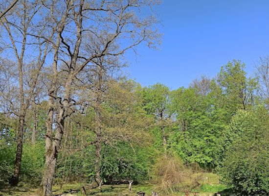hungary/northern-hungary/attraction/miskolc-zoo