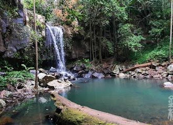 australia/gold-coast/attraction/curtis-falls-viewing-platform