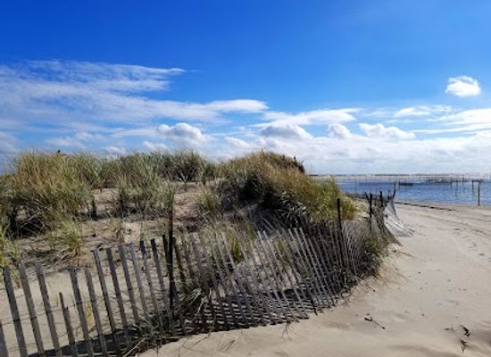 new-york/fire-island/attraction/cedar-beach