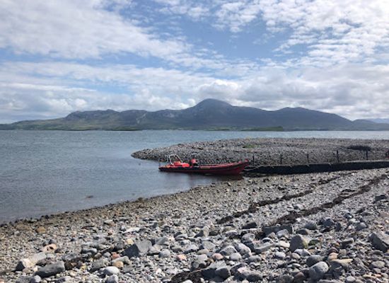 ireland/westport/attraction/westport-sea-safari