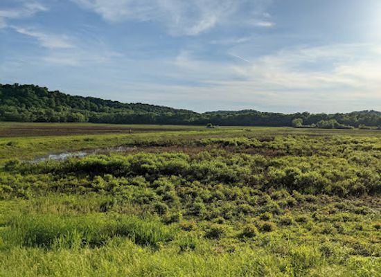 indiana/yellowwood-state-forest/attraction/stillwater-marsh-water-fowl-resting-area