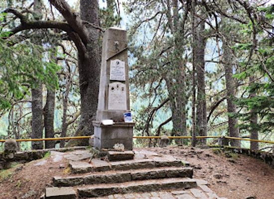 bulgaria/dobrinishte/attraction/baikushev-s-pine