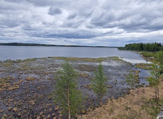 finland/ruka-kuusamo/attraction/vihtasalmi-bird-watching-tower