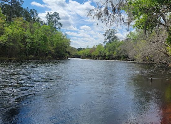 florida/suwannee-river/attraction/big-shoals-trail