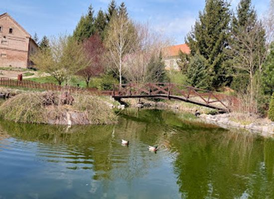 hungary/somogy/attraction/boszenfa-deer-farm