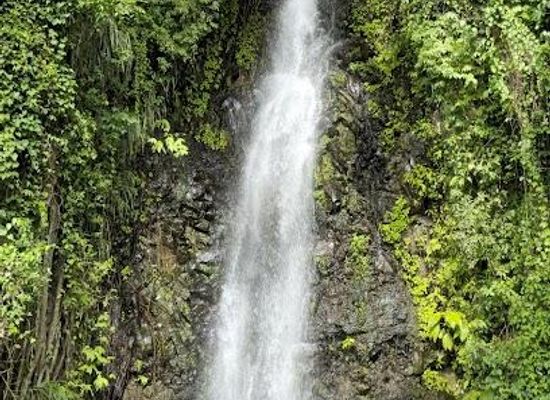 saint-vincent-and-the-grenadines/saint-david/attraction/dark-view-fall