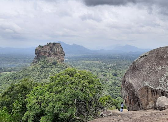 sri-lanka/wilpattu-national-park/attraction/pidurangala-rock