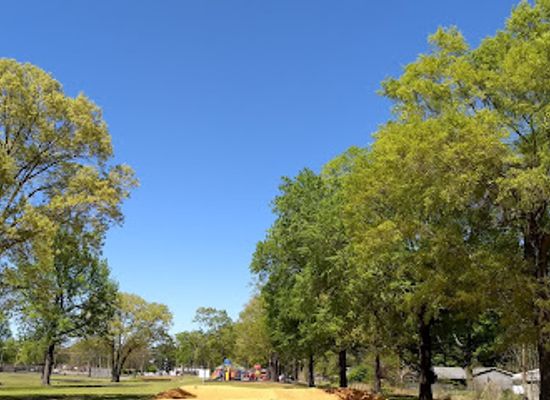 arkansas/conway/attraction/gatling-park