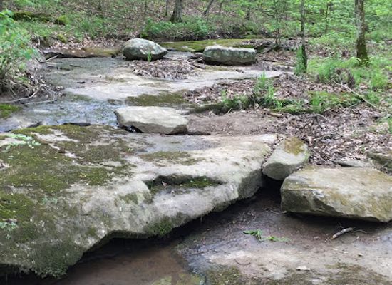 illinois/southern-illinois/attraction/crab-orchard-national-wildlife-refuge