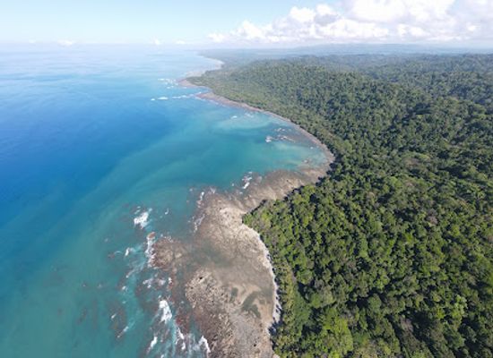 costa-rica/osa-peninsula/attraction/sirena-ranger-station