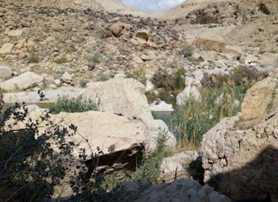 jordan/al-karak-plateau/attraction/masar-wadi-almojab-madarib-bani-humaydah