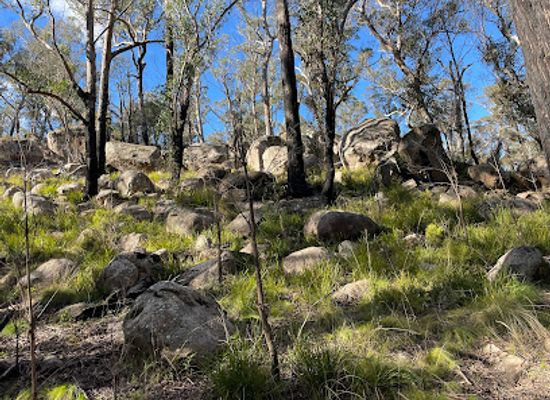 australia/new-england/attraction/cathedral-rock-track