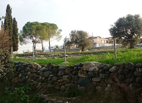 cyprus/nicosia-district/attraction/archaeological-site-of-tamassos