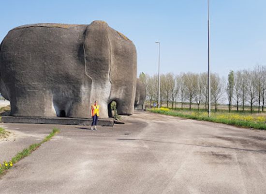 netherlands/flevoland/attraction/olifanten-van-almere