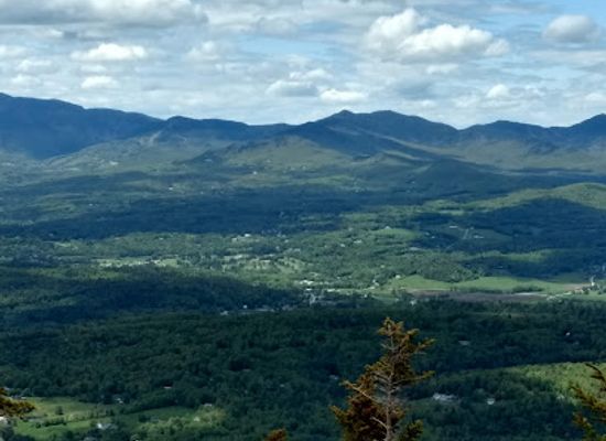 vermont/washington-county/attraction/pinnacle-meadows-stowe-land-trust