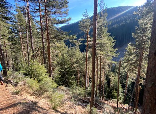 bulgaria/bansko/attraction/ski-road-1