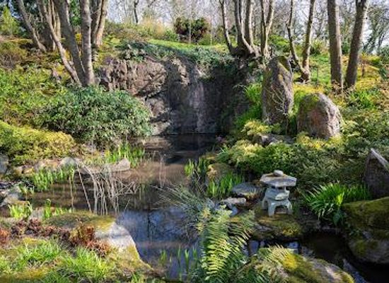 ireland/waterford/attraction/lafcadio-hearn-japanese-gardens