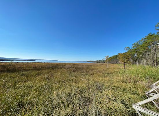 alabama/fairhope/attraction/weeks-bay-national-estuarine-research-reserve