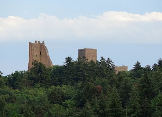 france/vosges-mountains/attraction/sentier-de-l-ecureuil
