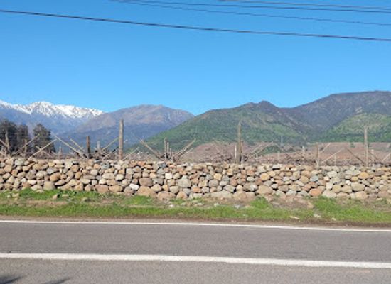 chile/aconcagua-valley/attraction/vina-perez-cruz