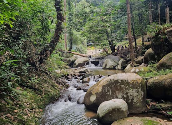 malaysia/negeri-sembilan/attraction/forest-jeram-tengkek