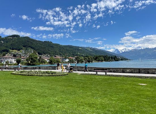 switzerland/thun/attraction/dampfbahn-schadaupark