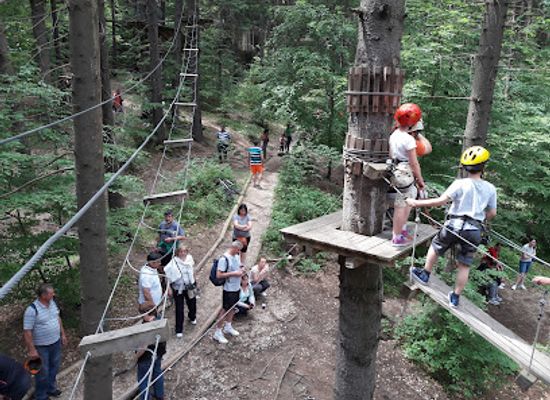 romania/prahova/attraction/wolf-park-adventure