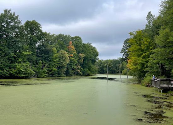 michigan/warren-dunes-state-park/attraction/chikaming-township-park-preserve