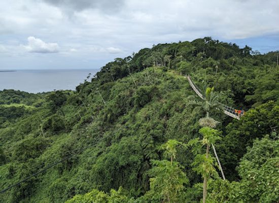 vanuatu/lamap/attraction/vanuatu-sky-bridge